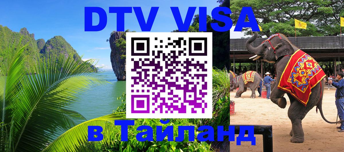 Оформление DTV визы под ключ: стоимость и тарифы, только загранпаспорт - 